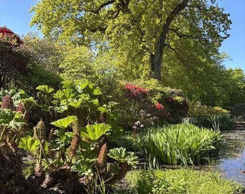 Der Schlosspark Sofiero